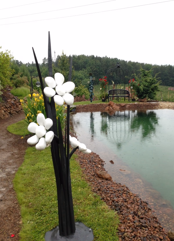 Steinblumen an schwarzen Stielen beim Teich